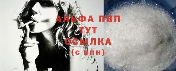 индика Каменногорск