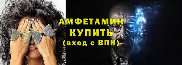 индика Каменногорск