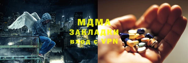 индика Каменногорск