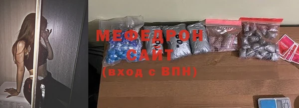 индика Каменногорск