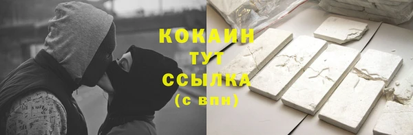 индика Каменногорск