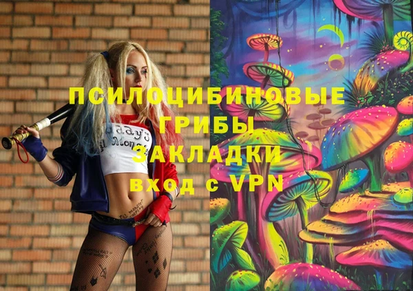 индика Каменногорск