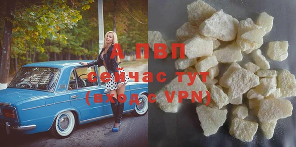 индика Каменногорск