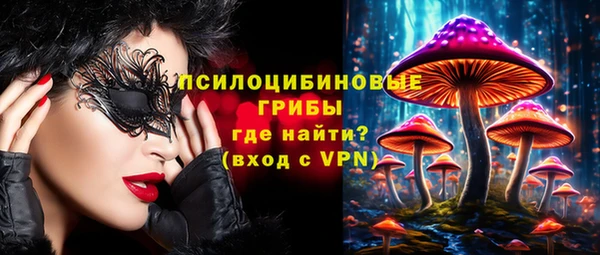 индика Каменногорск