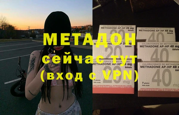 индика Каменногорск