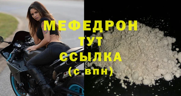 индика Каменногорск
