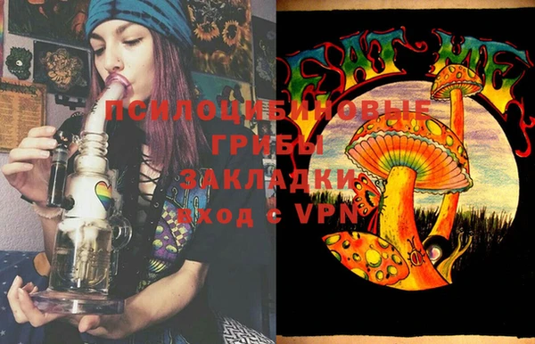 индика Каменногорск