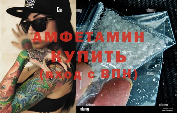 индика Каменногорск