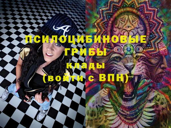 марки lsd Каменка