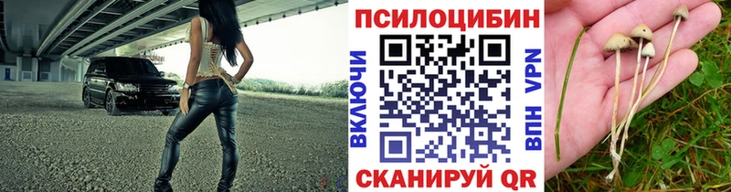 Псилоцибиновые грибы Magic Shrooms  Купить  Петухово 